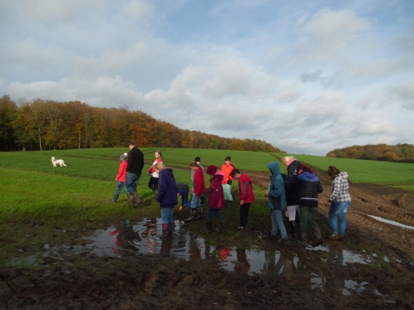 Eine kleine Wanderung...